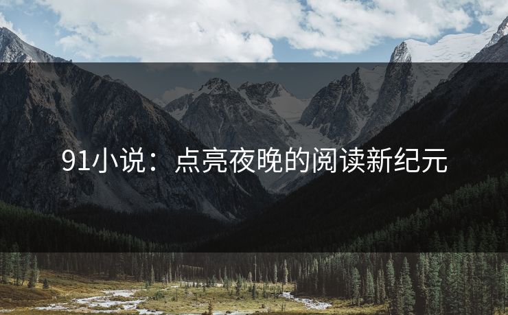 91小说：点亮夜晚的阅读新纪元