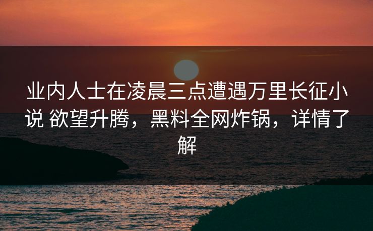 业内人士在凌晨三点遭遇万里长征小说 欲望升腾,黑料全网炸锅,详情了解