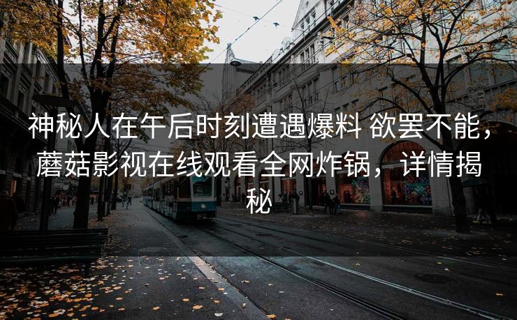 神秘人在午后时刻遭遇爆料 欲罢不能，蘑菇影视在线观看全网炸锅，详情揭秘