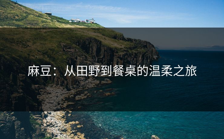 麻豆：从田野到餐桌的温柔之旅